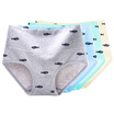 Yummy light blue mint green light yellow - fish XL code