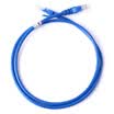 AMPCOM AMCAT5E0820 BU Project-level network jumper ultra-five cable pure copper 8-core oxygen-free copper crystal head cable 2 m blue jacket