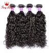 Brazilian Water Wave Brazilian Virgin Hair Ocean Wave 4pcs Lot Mink Hair Brazillian Curly Wet&Wavy Human Hair Extensions