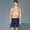 Vanden BALNEAIRE 50162-1 swim trunks hot swimsuits men&39s code professional sports five points angle beach pants horns&horns dark lines XXL