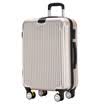 Y6 Trolley Case Caster Large Capacity Baggage Travel Box Boarding Pass Information ABS Zipple Boarding Box 20 &quot5300-20 Gold