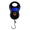 Baijie Baijie portable electronic scales kitchen electronic scales HL-168 black