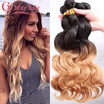 Brazilian Ombre Hair Extensions Colored 1B 27 Blonde Ombre Body Wave Two Tone Virgin Human Hair Weave 3 Bundles