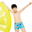 Li Ning LI-NING swimming trunks children&young people swimming pants new 221-1 Lake Blue No 12