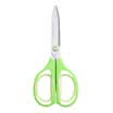 KOKUYO WSCN-HS250YG strong air stretch scissors green