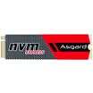 Asgard AN Series 256G M2 Interface NVMe Protocol SSD Solid State Drive