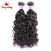 Malaysian Virgin Hair 2 bundles Water Wave Wet And Wavy Curly Weave Human Hair Bundles Mi Lisa Malaysian Water Wave Virgin Hair
