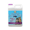 Proud cat cat proud cat proud cat plus carbon gangs cat litter