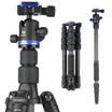 Beno Benro tripod IT19C SLR tripod reversal variable monopod carbon fiber tripod head set portable