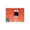 Free shipping 5PCS 40T03GP TO-220 in stock