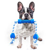 Huapu Pet hoopet dog toy molars gold hamushi large dog biting teeth