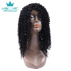 Half Lace Curly Hair Wigs Brazilian Kinky Curly Hair Human Hair Lace Wig Grade 7A