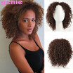 Pixie Cut Afro Kinky Curly Short Synthetic Wigs With Bangs For Black Women Naturally Brown Color African American Hair