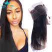 Malaysian Straight Pre Plucked 360 Lace Frontal Closure With Natural Hairline Baby Hair