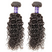Brazilian curly virgin hair 2 bundles jerry curl unprocessed virgin brazilian human hair curly weave brizilian virgin hair