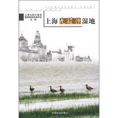上海九段沙湿地
上海九段沙湿地