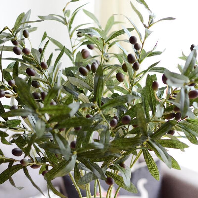 One Branch Simulation Olive Leaf Faux Greenery Artificial Plants Party Living Room Decoration Arrangement Green
One Branch Simulation Olive Leaf Faux Greenery Artificial Plants Party Living Room Decoration Arrangement Green