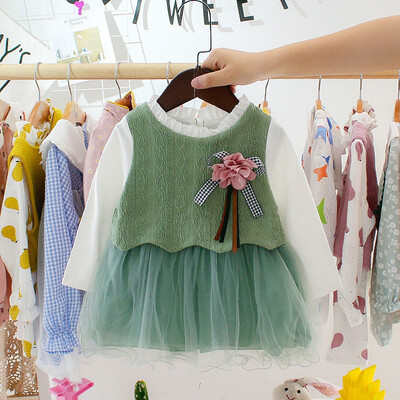 Newborn infant Baby Dress Cotton Princess Toddler Dress Mesh Fake Two Piece Party Dresses for Girls Fashion Baby Girl Clothes
Newborn infant Baby Dress Cotton Princess Toddler Dress Mesh Fake Two Piece Party Dresses for Girls Fashion Baby Girl Clothes