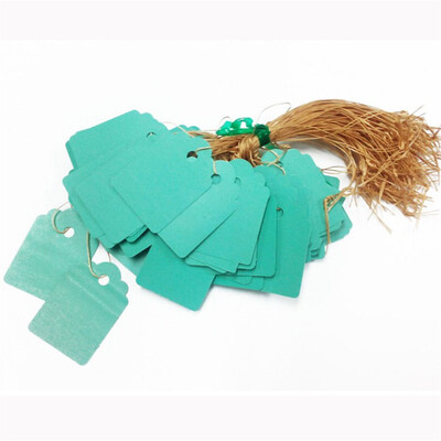 Gobestart 36x25cm Lot 100pcs Strip Line Garden Label Plant Hanging Tag Mini Seed Signs Hot
Gobestart 36x25cm Lot 100pcs Strip Line Garden Label Plant Hanging Tag Mini Seed Signs Hot