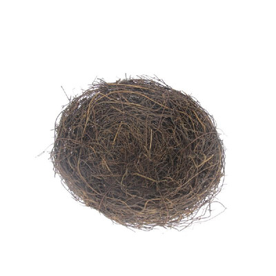 Garden Decoration DIY Foam Birds Eggs Mini Cute Birds Nest Easter Decor for Home Decor Simulation Craft
Garden Decoration DIY Foam Birds Eggs Mini Cute Birds Nest Easter Decor for Home Decor Simulation Craft