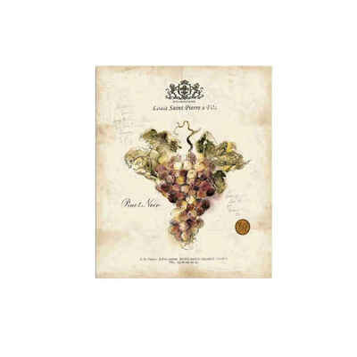 50x60CM Retro Style Grape Image Playbill for Dining Rooms Canvas Printed Oil Paintings Without Frame
50x60CM Retro Style Grape Image Playbill for Dining Rooms Canvas Printed Oil Paintings Without Frame