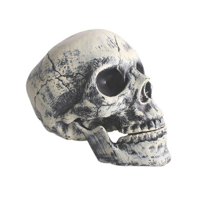 Halloween Decorations Horror artificial Halloween Skeleton for Halloween Party Artificial Skull deco Halloween
Halloween Decorations Horror artificial Halloween Skeleton for Halloween Party Artificial Skull deco Halloween