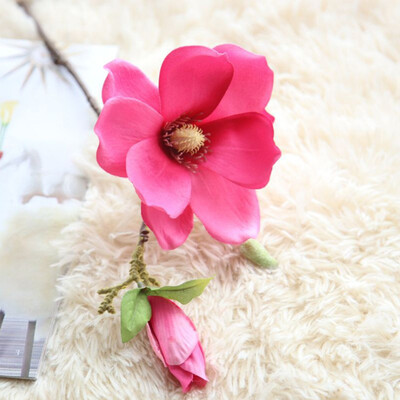 Hot Sale on Artificial Fake Flowers Leaf Magnolia Floral Wedding Bouquet Party Home Decor Gift Wholesale
Hot Sale on Artificial Fake Flowers Leaf Magnolia Floral Wedding Bouquet Party Home Decor Gift Wholesale
