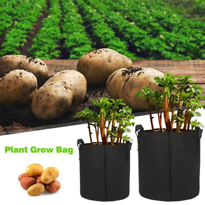 Willstar 357 Gallon Round Non-woven Pots Root Container Plant Grow Bags with Handles for Plants Vegetables Flowers
Willstar 357 Gallon Round Non-woven Pots Root Container Plant Grow Bags with Handles for Plants Vegetables Flowers
