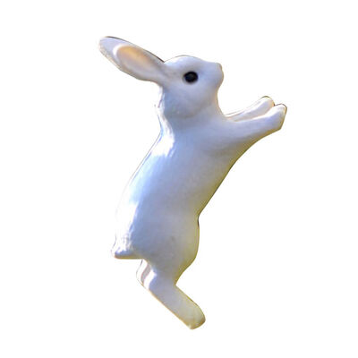 Lovely Miniature Mini Rabbit PVC Garden Fairy Ornament Flower Plant Pot Home Figurine Animal Decoration
Lovely Miniature Mini Rabbit PVC Garden Fairy Ornament Flower Plant Pot Home Figurine Animal Decoration
