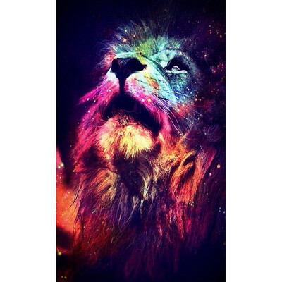 5D DIY Colorful Lion Diamond Painting Kit Arts Crafts Embroidery Cross Stitch Rhinestone Decoration Canvas Wall Home Office Decor
5D DIY Colorful Lion Diamond Painting Kit Arts Crafts Embroidery Cross Stitch Rhinestone Decoration Canvas Wall Home Office Decor