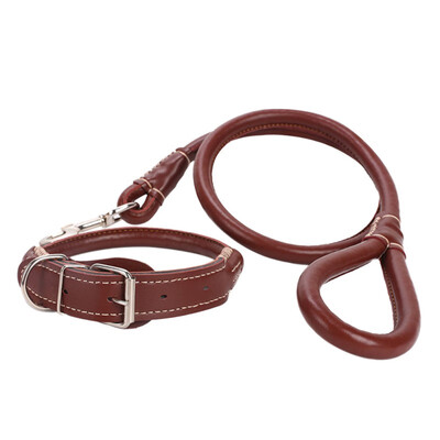 Durable Quality Leather Weaving Round Belt Dog Leash Comfortable Classic Pet Dog Collar Pet Dog Supplies
Durable Quality Leather Weaving Round Belt Dog Leash Comfortable Classic Pet Dog Collar Pet Dog Supplies