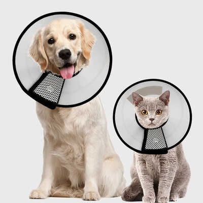 Chinese animal Elizabeth bed dog cat collar collar cat anti-circle ring cat pet dog head cover hood anti-bite dog supplies 1st 40 kg
Chinese animal Elizabeth bed dog cat collar collar cat anti-circle ring cat pet dog head cover hood anti-bite dog supplies 1st 40 kg