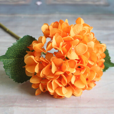 Simulation of a single French Hydrangea Single Cloth Plants Artificial Flower for wedding
Simulation of a single French Hydrangea Single Cloth Plants Artificial Flower for wedding