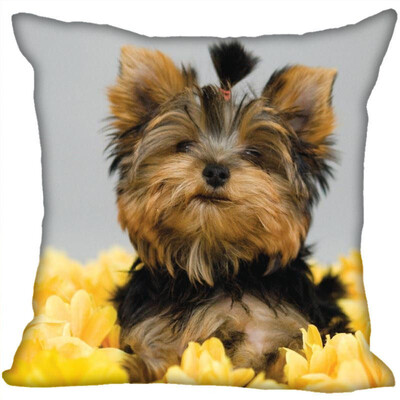 Yorkshire Terrier Pillow Cover Bedroom Home Office Decorative Pillowcase Square Zipper Pillow Cases Satin Fabric No Fade
Yorkshire Terrier Pillow Cover Bedroom Home Office Decorative Pillowcase Square Zipper Pillow Cases Satin Fabric No Fade