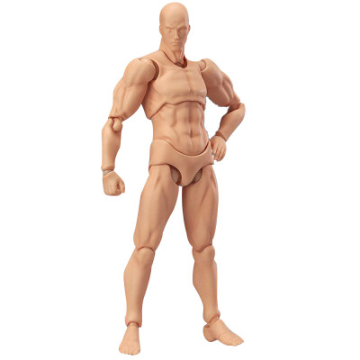 Willstar Movable Body Articulated Action Figure Artistic Anime Painting Mannequin Sketch Drawing Human Body
Willstar Movable Body Articulated Action Figure Artistic Anime Painting Mannequin Sketch Drawing Human Body