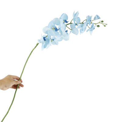 Willstar 11 Heads DIY Artificial Fake Silk Flower Phalaenopsis Butterfly Orchid Home Decor
Willstar 11 Heads DIY Artificial Fake Silk Flower Phalaenopsis Butterfly Orchid Home Decor