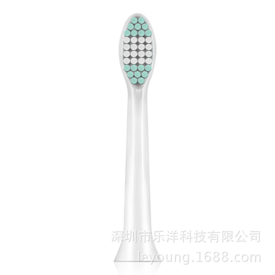 Electric Toothbrush Heads ESD7000 DuPont soft hair 4 Pack for ESD7000 Toothbrush original accessories
Electric Toothbrush Heads ESD7000 DuPont soft hair 4 Pack for ESD7000 Toothbrush original accessories