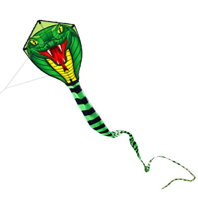 8M15M Giant Snake Kite Single Line Flying Kite Outdoor Sports Fun Toy with 30M Line
8M15M Giant Snake Kite Single Line Flying Kite Outdoor Sports Fun Toy with 30M Line