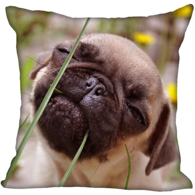 Pug Hot Sale Pillow Case High Quality New Years Pillowcase Decorative Pillow Cover For Wedding Decorative Christmas
Pug Hot Sale Pillow Case High Quality New Years Pillowcase Decorative Pillow Cover For Wedding Decorative Christmas