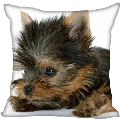 Yorkshire Terrier Pillow Cover Bedroom Home Office Decorative Pillowcase Square Zipper Pillow Cases Satin Fabric No Fade
Yorkshire Terrier Pillow Cover Bedroom Home Office Decorative Pillowcase Square Zipper Pillow Cases Satin Fabric No Fade