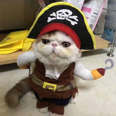 Funny Pet Dog Cat Clothes Pet Costume Halloween Uniform Clothes Doctor Policeman Cowboy Pirate Outfit For Small Medium Dog
Funny Pet Dog Cat Clothes Pet Costume Halloween Uniform Clothes Doctor Policeman Cowboy Pirate Outfit For Small Medium Dog