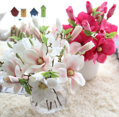 6 magnolia small fresh simulation flowers artificial flowers foreign trade flower arrangement home decoration wedding celebration
6 magnolia small fresh simulation flowers artificial flowers foreign trade flower arrangement home decoration wedding celebration