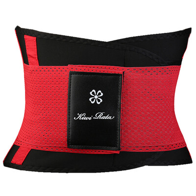 SLIMBELLE Waist Trainer Belt Body Shaper Belly Wrap Trimmer Slimmer Compression Band for Weight Loss Workout Fitness
SLIMBELLE Waist Trainer Belt Body Shaper Belly Wrap Trimmer Slimmer Compression Band for Weight Loss Workout Fitness
