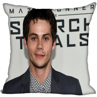 Dylan Pillow Cover Bedroom Home Office Decorative Pillowcase Square Zipper Pillow Cases Satin Fabric No Fade
Dylan Pillow Cover Bedroom Home Office Decorative Pillowcase Square Zipper Pillow Cases Satin Fabric No Fade