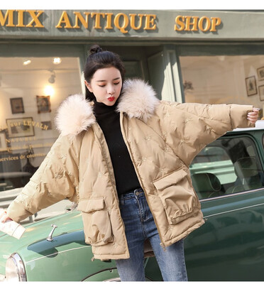 Winter 2018 fashion embroidered cotton garment coat cotton-padded jacket with fur collar down coats cotton clothes
Winter 2018 fashion embroidered cotton garment coat cotton-padded jacket with fur collar down coats cotton clothes