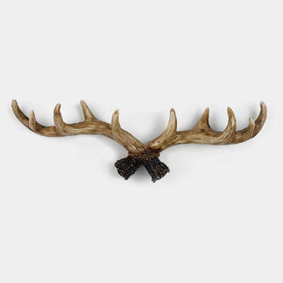 Vintage Deer Antlers Wall Hooks Antique Finish Resin Clothes Keys Hanger Rack Hooks Include 2 types Screws Light&Dark Color Av
Vintage Deer Antlers Wall Hooks Antique Finish Resin Clothes Keys Hanger Rack Hooks Include 2 types Screws Light&Dark Color Av