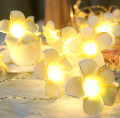 Led egg flower string simulation flower wedding props decorate room girl heart ins decorative lantern
Led egg flower string simulation flower wedding props decorate room girl heart ins decorative lantern