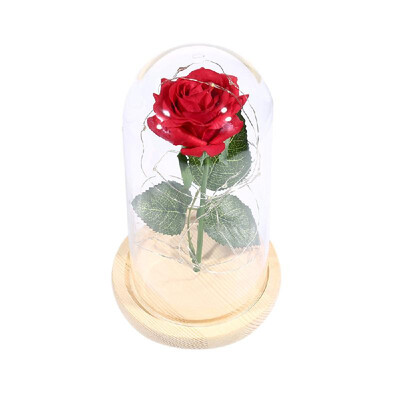 Romantic Simulation Rose Flower with Glass Cover LED Night Light Festival Birthday Romantic Gift
Romantic Simulation Rose Flower with Glass Cover LED Night Light Festival Birthday Romantic Gift