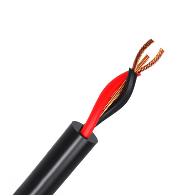 VENTION 65mm Audio Cable Male to Male Audio Cable HiFi Gold-plated for GuitarAmplifier Microphone 10m Black
VENTION 65mm Audio Cable Male to Male Audio Cable HiFi Gold-plated for GuitarAmplifier Microphone 10m Black