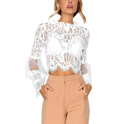 Women Temperament Perspective Sweet Solid Color Long Bell Sleeve Round Collar Chiffon Blouse
Women Temperament Perspective Sweet Solid Color Long Bell Sleeve Round Collar Chiffon Blouse